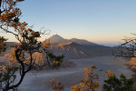 From Malaysia : Arrive Jogja Departure Surabaya 7D6N to Malang Bromo